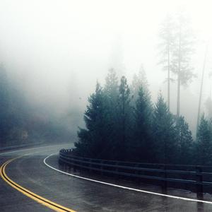 黄片动漫在线观看
