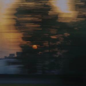 黄片动漫在线观看
